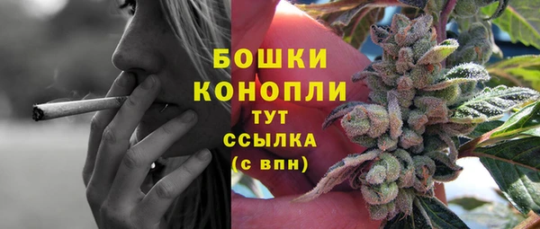 соль ск Балахна