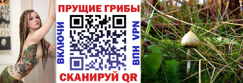 Галлюциногенные грибы Magic Shrooms Котельнич