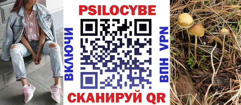 Галлюциногенные грибы GOLDEN TEACHER  Котельнич 